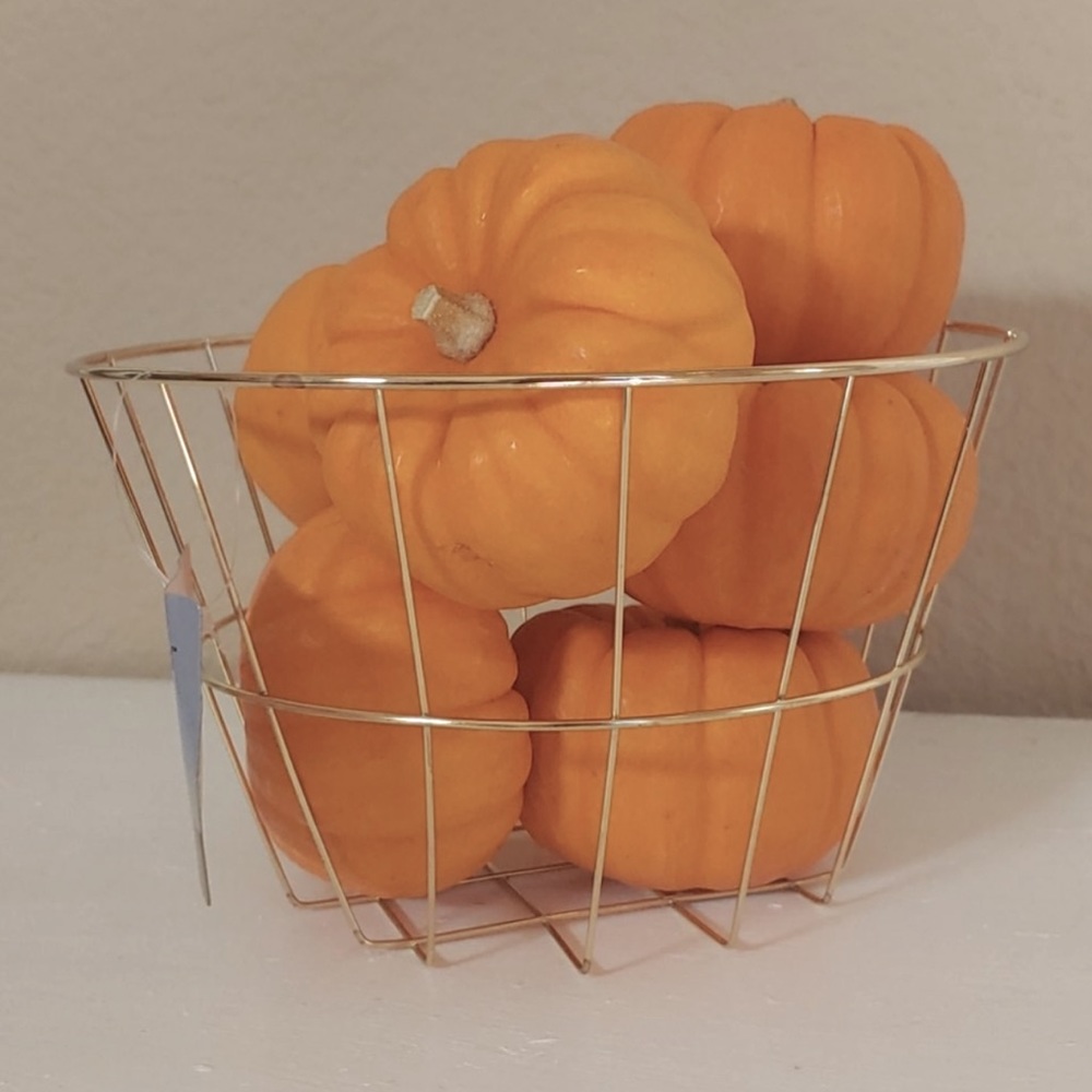 🍁New Gold Basket Home Decor
